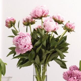 Pink Peony Vase Arrangement