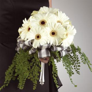 Gerbera Daisy Bouquet